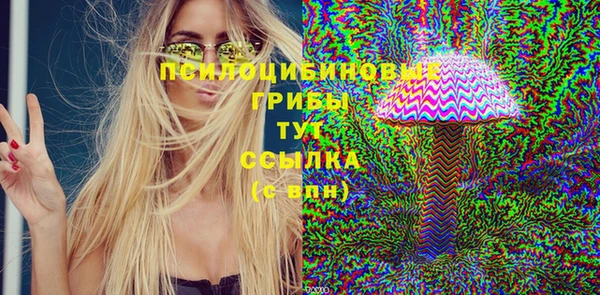 герыч Алексин