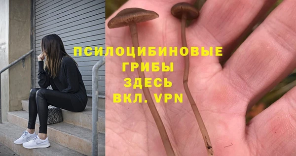 герыч Алексин