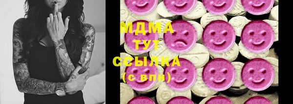 гидропоника Алзамай
