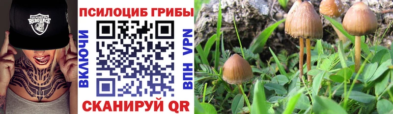 Галлюциногенные грибы MAGIC MUSHROOMS  Нытва 